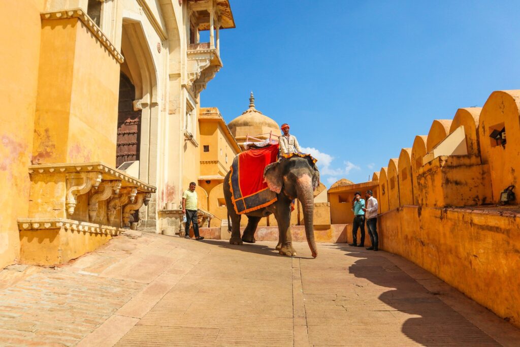 amer fort jaipur