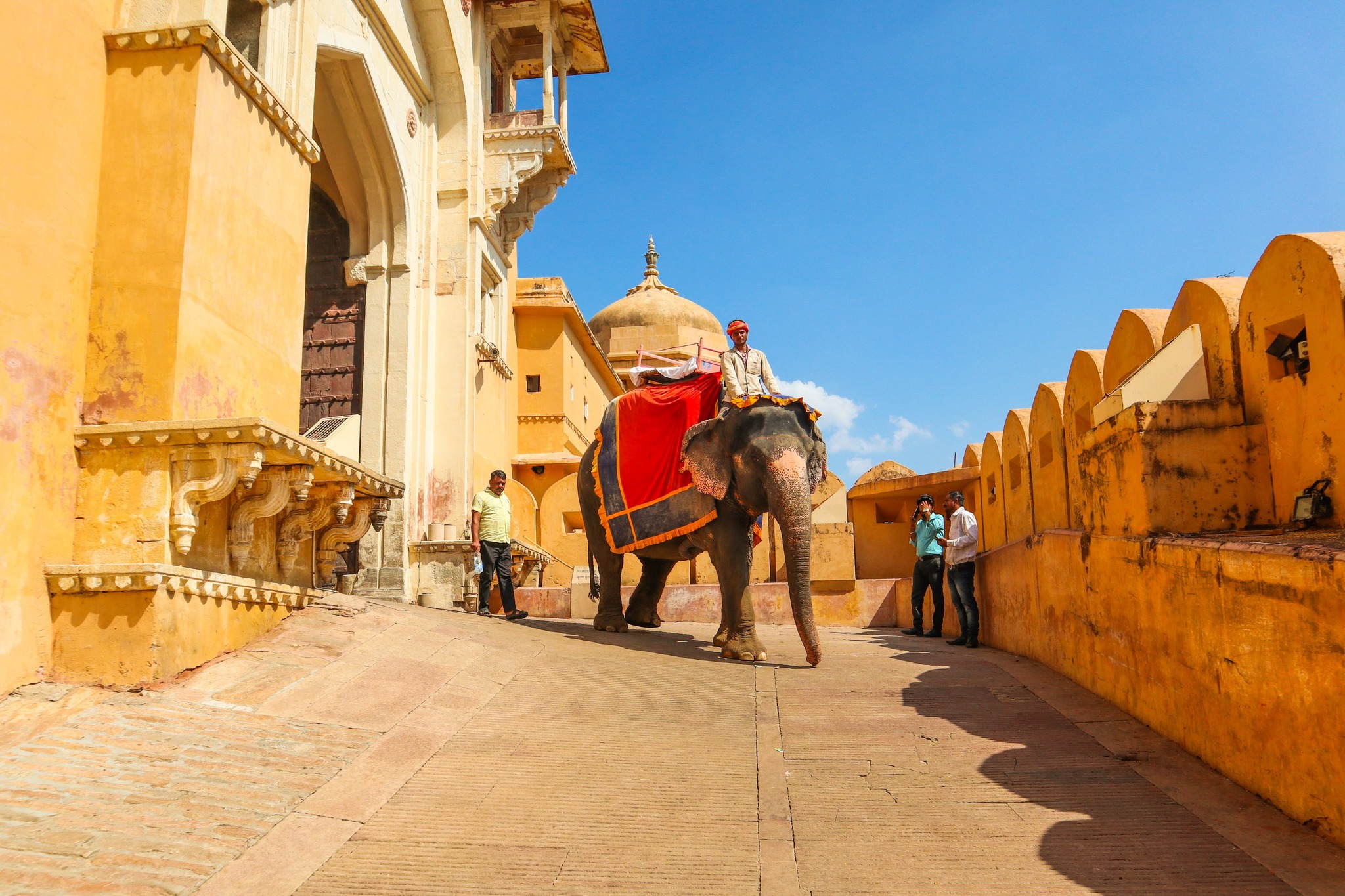 amer fort jaipur