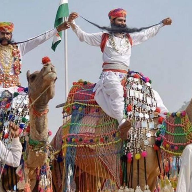 pushkar festival