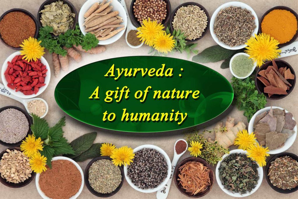 Ayurveda : Rajasthanviaggi