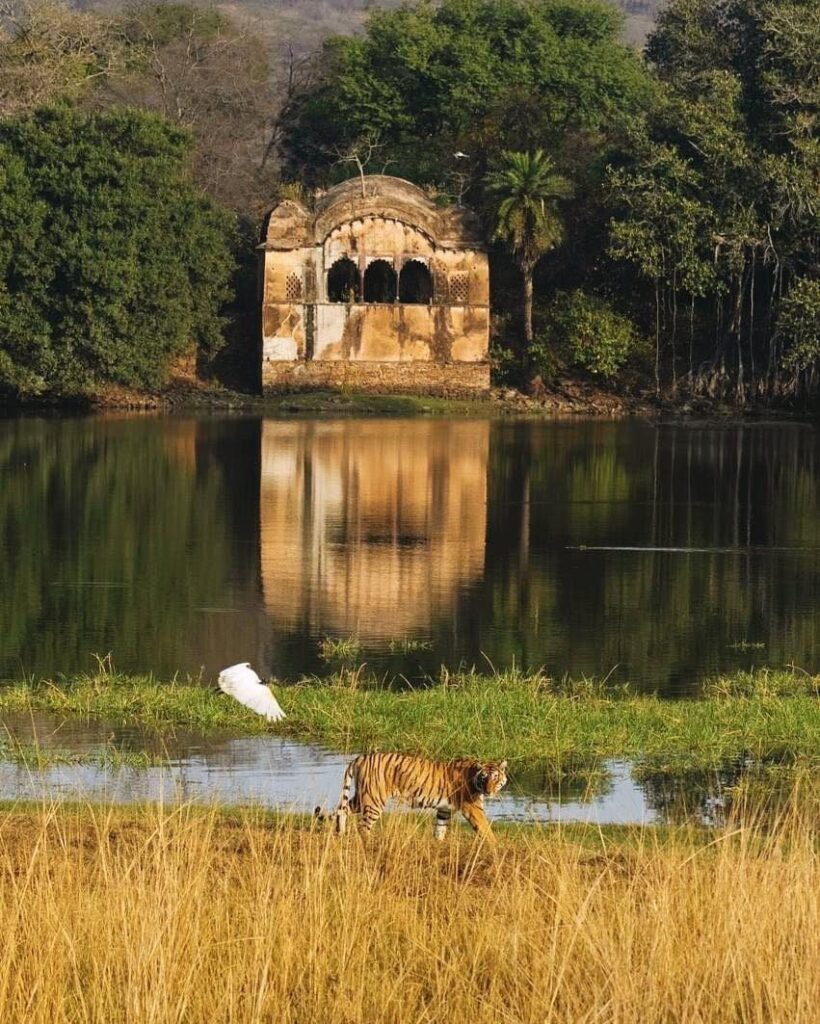 national park of rajasthan