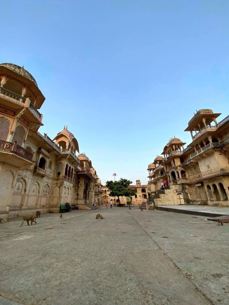 Il tempio delle scimmie a jaipur / monkey temple galtaji, tour operatore locale per india, tour operatore locale in india, agenzia di viaggi in india, viaggi in india su misura, viaggio in india, viaggi in india