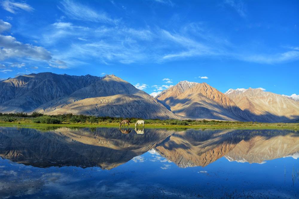 Viaggio in Ladakh e Himalaya, viaggi in india, viaggio in india, tour operatore locale per india, tour operatore locale in india, agenzia di viaggi in india, viaggi in india su misura,