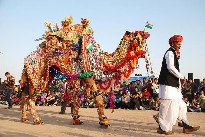 viaggio in india : Festa dei cammelli a bikaner