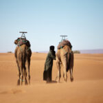 Un Viaggio Organizzato in Rajasthan: Un Percorso nella Terra dei Re