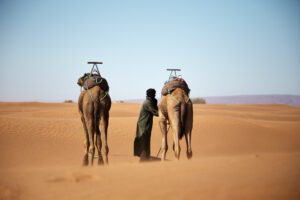 Un Viaggio Organizzato in Rajasthan: Un Percorso nella Terra dei Re
