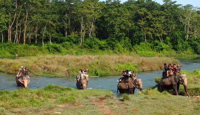 chitwan-jungle-safari-b Viaggio In Nepal Con Safari Di Chitwan